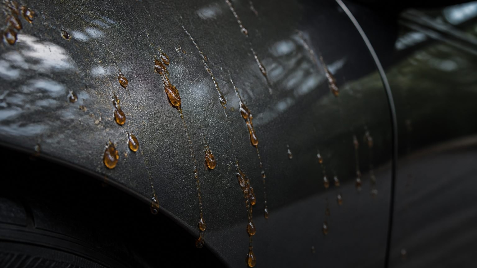 Amber tree sap droplets on a dark metallic car fender in shade. Editorial illustration, not a process photo.